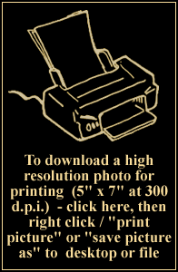 Click here to download high resolution photo for printing